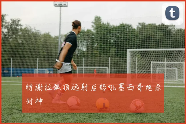 特谢拉弧顶远射后怒吼墨西哥绝杀封神