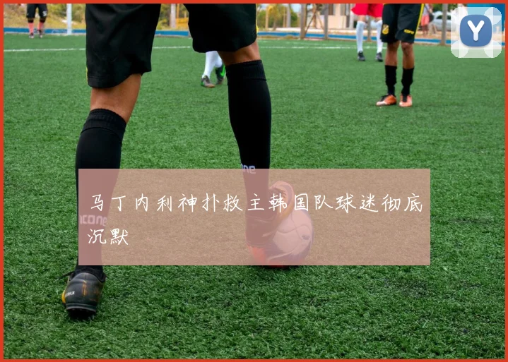 马丁内利神扑救主韩国队球迷彻底沉默