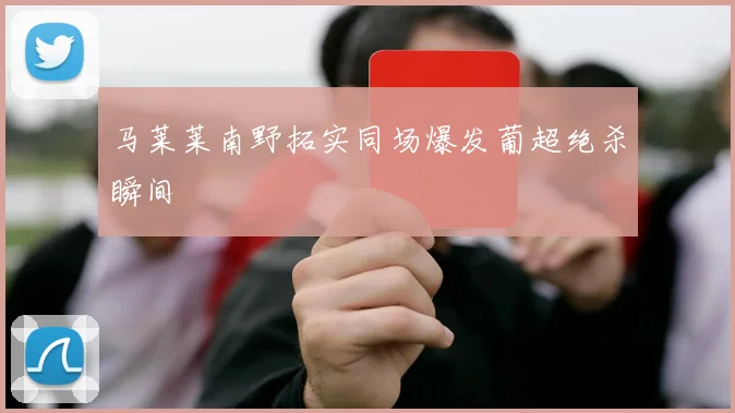 马莱莱南野拓实同场爆发葡超绝杀瞬间