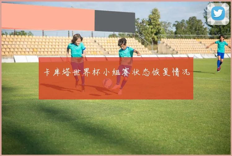 卡库塔世界杯小组赛状态恢复情况