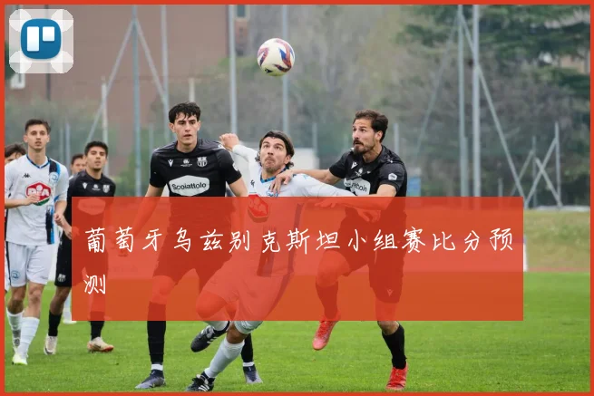 葡萄牙乌兹别克斯坦小组赛比分预测