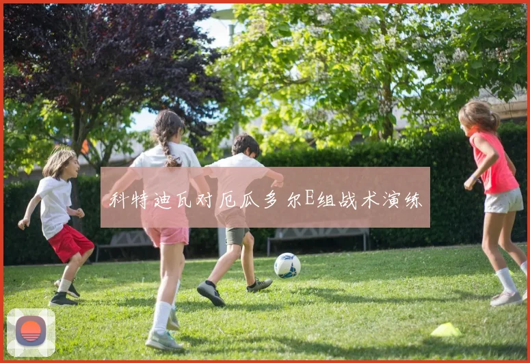 科特迪瓦对厄瓜多尔E组战术演练
