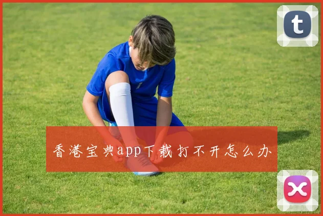 香港宝典app下载打不开怎么办