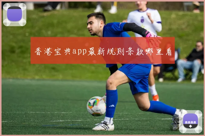 香港宝典app最新规则条款哪里看