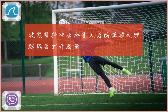 波黑哲科冲击加拿大后防弧顶处理球能否打开局面