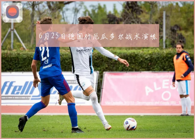 6月25日德国对厄瓜多尔战术演练
